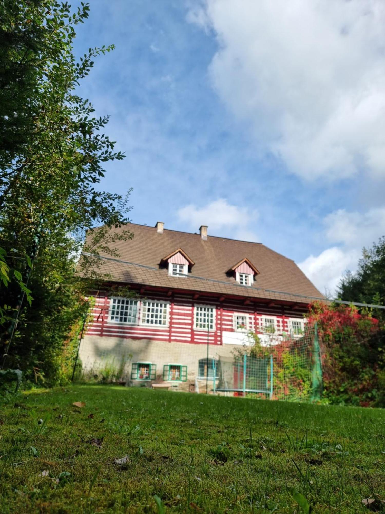 Roubenka Mlyn U Skaly Destne V Orlickych Horach Volne Terminy 5 Bytu Zewnętrze zdjęcie