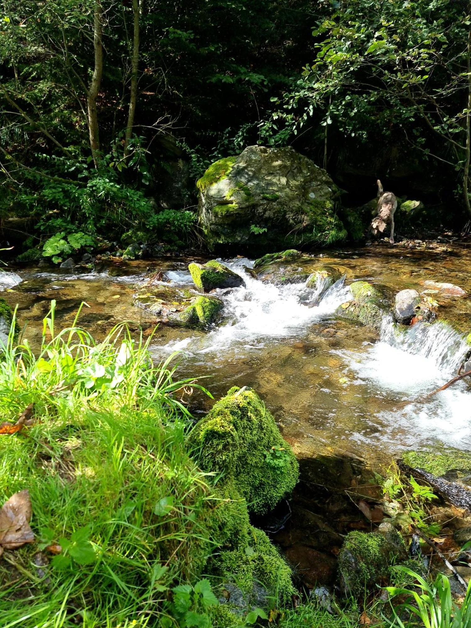 Roubenka Mlyn U Skaly Destne V Orlickych Horach Volne Terminy 5 Bytu Zewnętrze zdjęcie