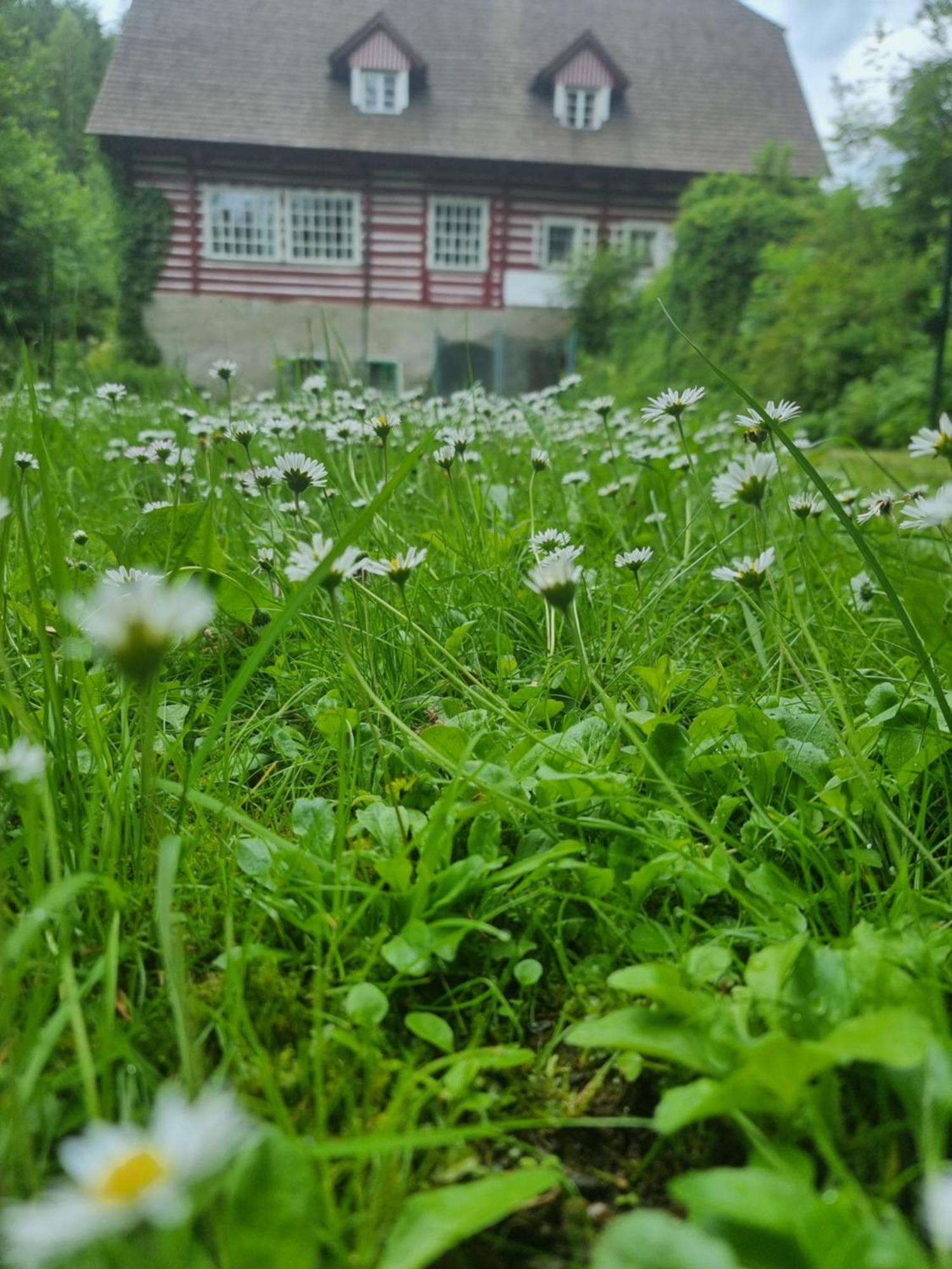 Roubenka Mlyn U Skaly Destne V Orlickych Horach Volne Terminy 5 Bytu Zewnętrze zdjęcie