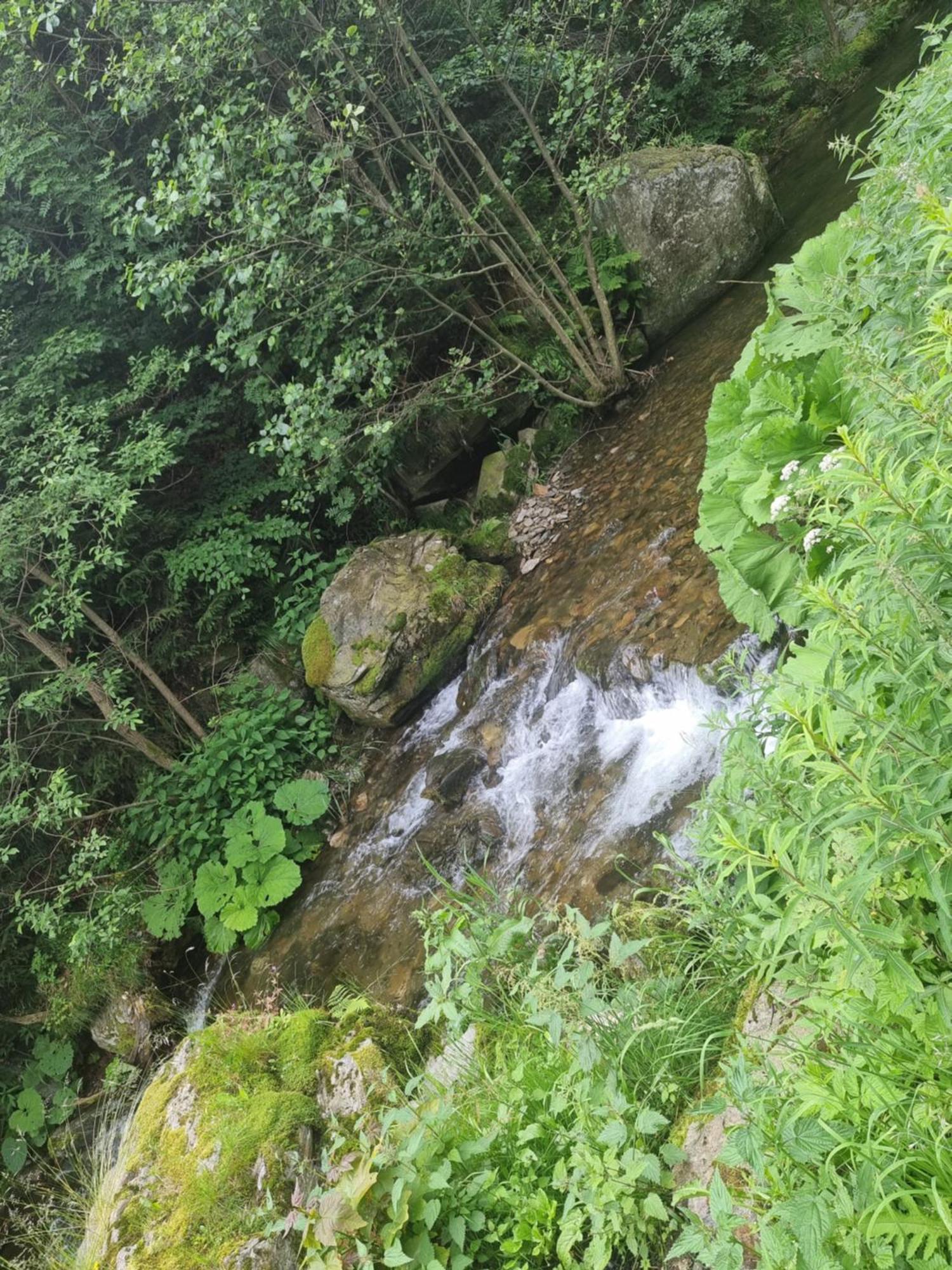 Roubenka Mlyn U Skaly Destne V Orlickych Horach Volne Terminy 5 Bytu Zewnętrze zdjęcie